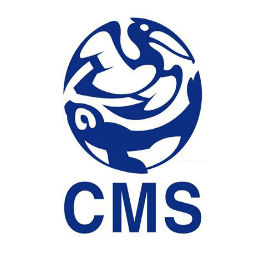 CMS logo