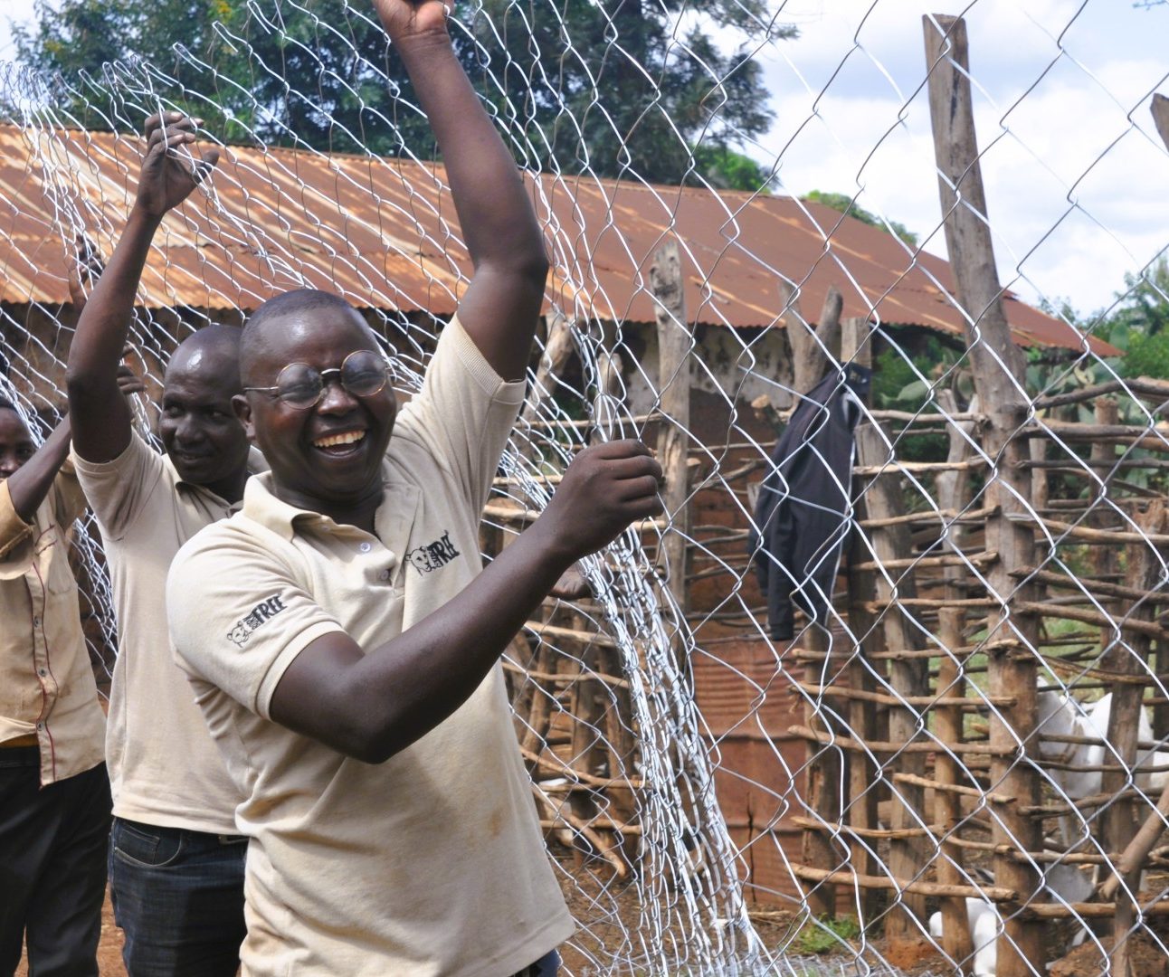 A group of men wearing Born Free T-shirts helping to construct a boma