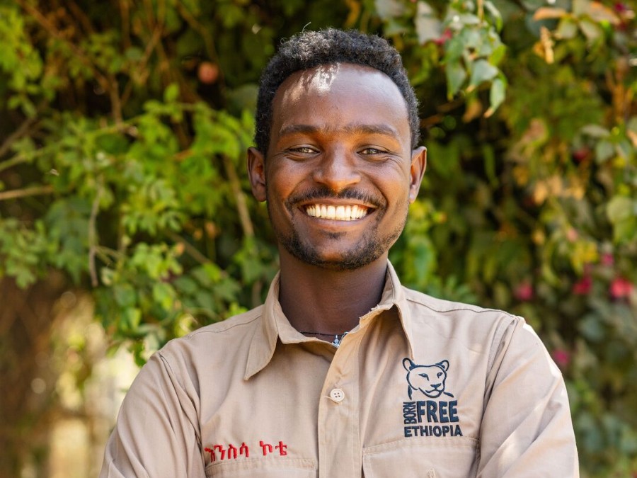 Dereja Girma
