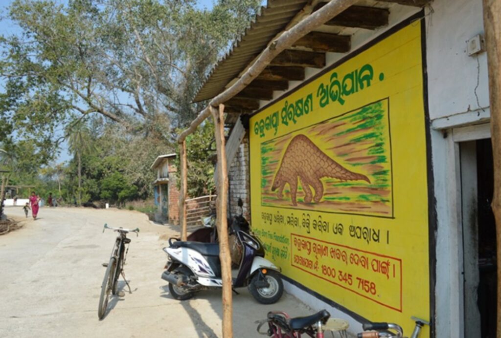 A street scene in India with a yellow billboard featuring a picture of a pangolin
