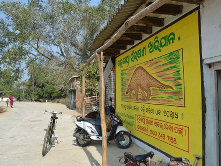 A street scene in India with a yellow billboard featuring a picture of a pangolin