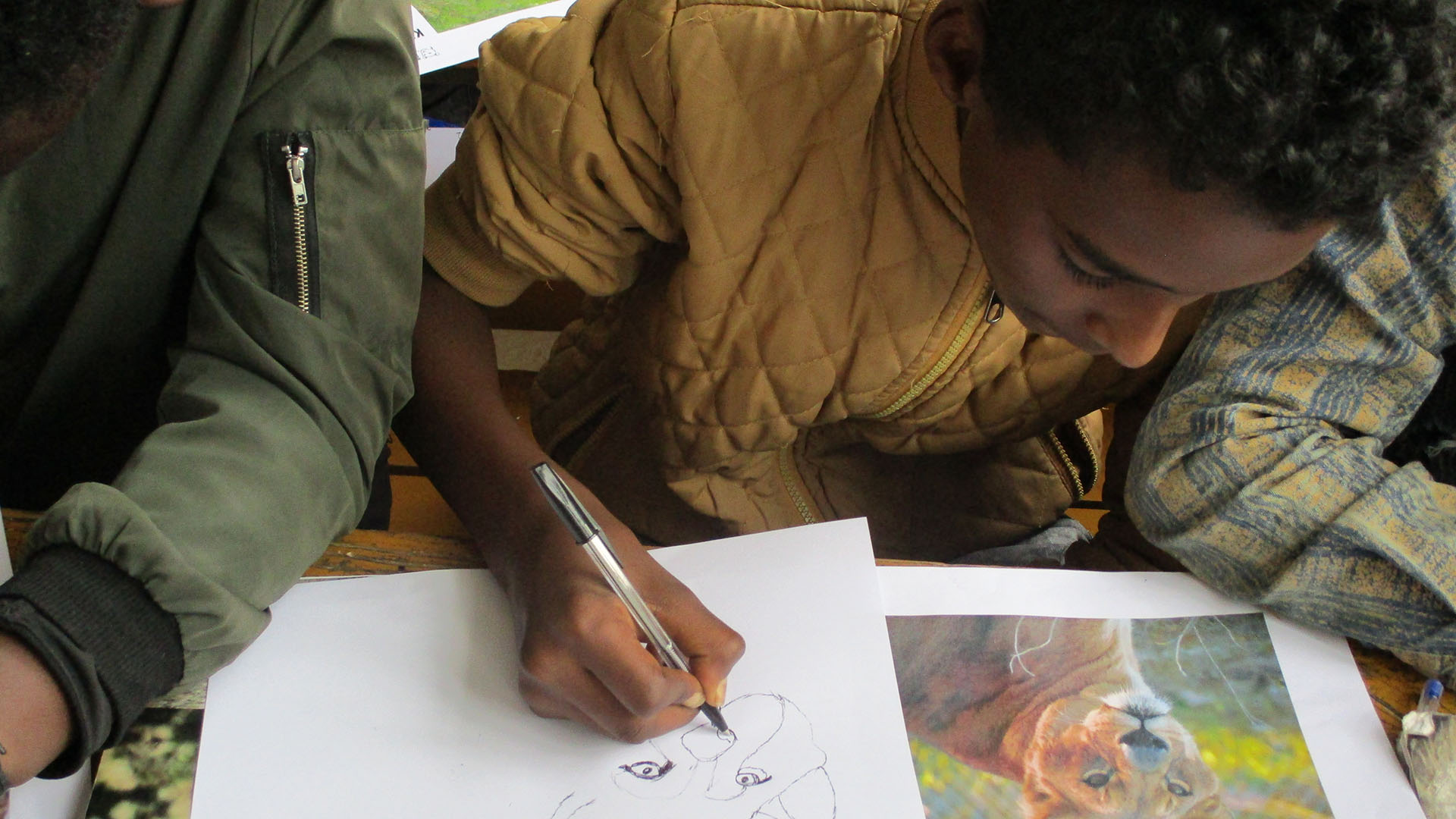 A boy leans over a desk holding a pencil, drawing a lion from a photo