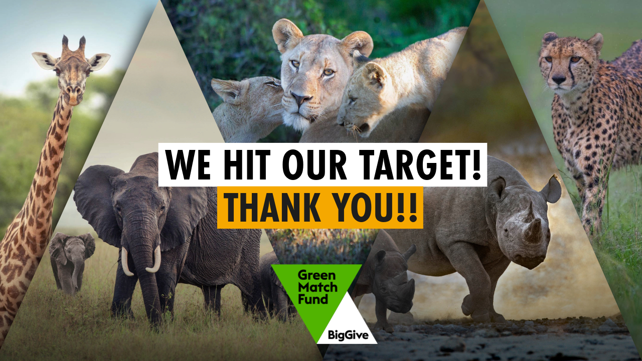 A montage of African wild animals with text saying 'We hit our target! Thank you!!' and the Green Match Fund logo