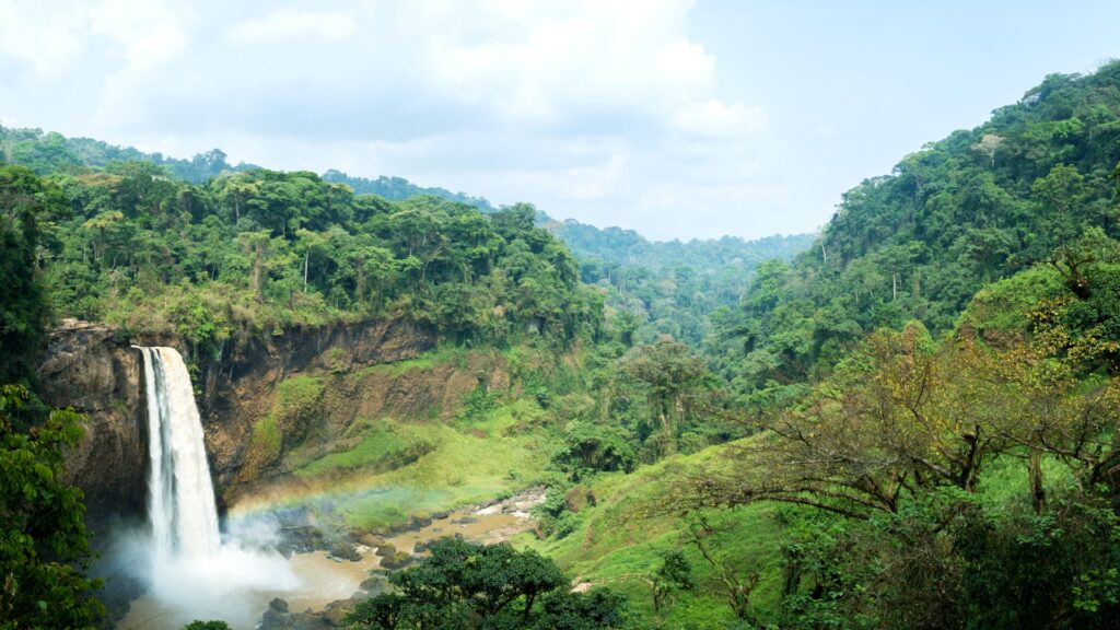 A vast rainforest with waterfall in Cameroon