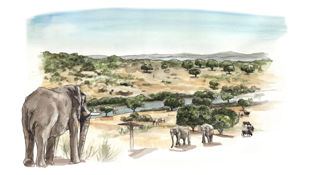 A watercolour painting-style image of elephants in a vast landscape