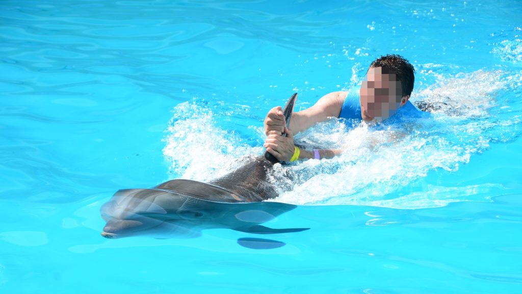A photo of a man holding onto a dolphin's fin, while it swims around a chlorinated pool.