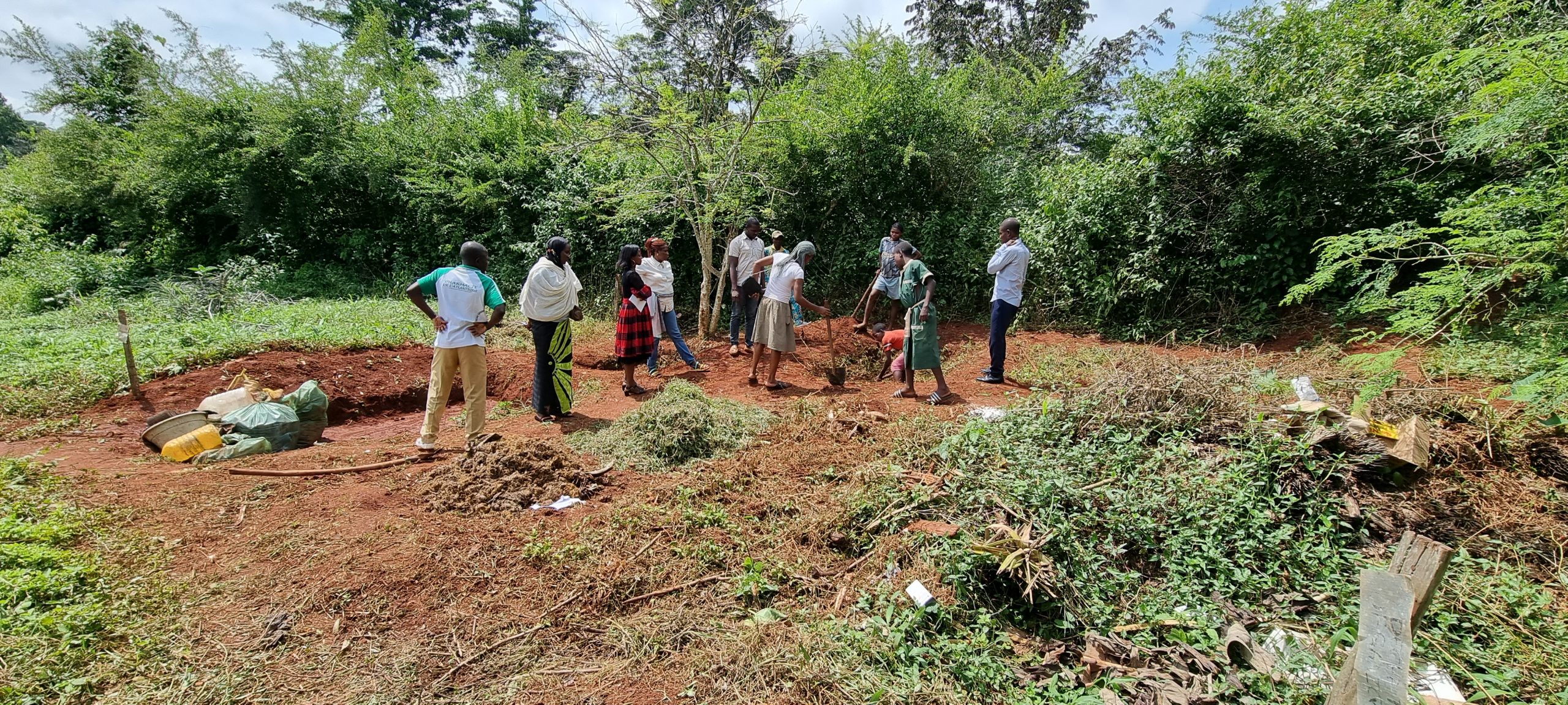 A group of people digging