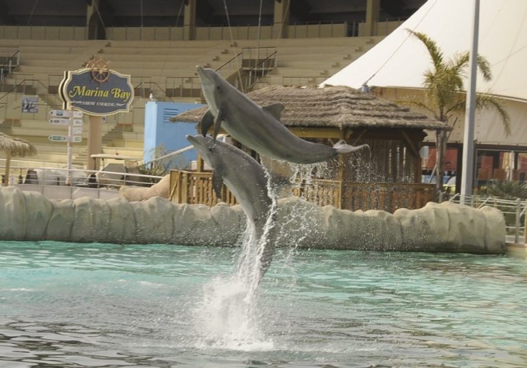 MARINELAND GALLERY