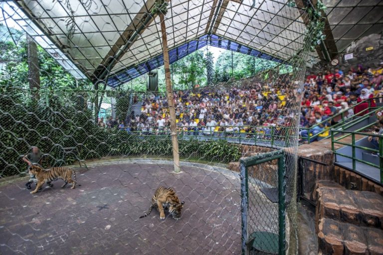 TAMAN SAFARI GALLERY
