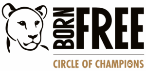 Circle of champions logo