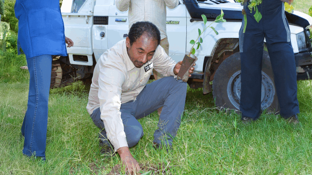 A man in Born Free shirt bending down and holding a sapling